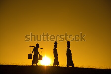 Silhouette of Asian traditional farmers  Stock photo © szefei