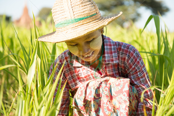 Young Asian Burmese female farmer Stock photo © szefei