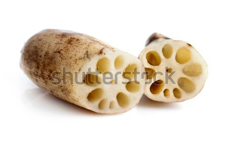 Lotus Roots Stock photo © szefei