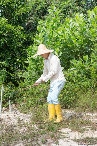 Worker clearing land Stock photo © szefei