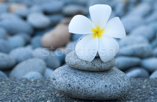 Spa bienestar blanco terapia piedras flor Foto stock © szefei