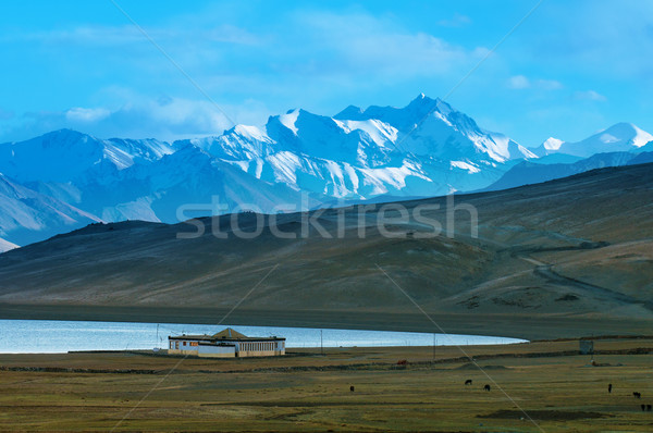 Landscape of Tsomoriri Stock photo © szefei