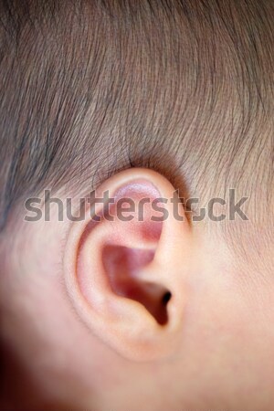 Sleeping Asian newborn  Stock photo © szefei