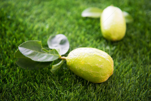 Organique citrons pelouse libre fraîches laisse [[stock_photo]] © szefei