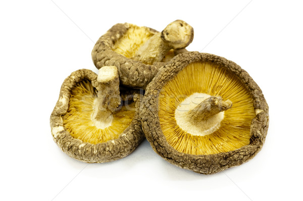 Foto stock: Cogumelo · secas · cogumelos · isolado · branco · comida