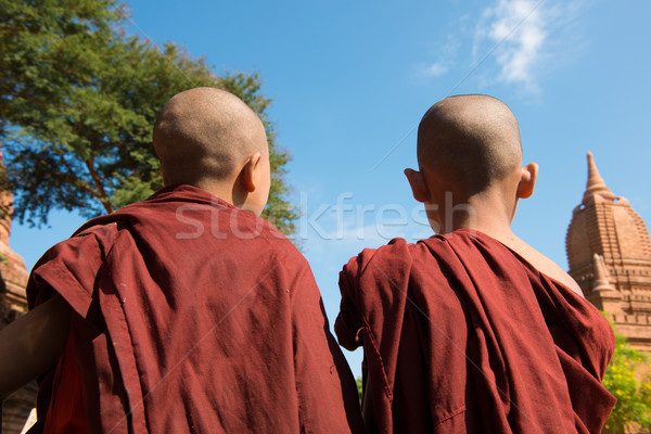 Rear view of two little monks Stock photo © szefei