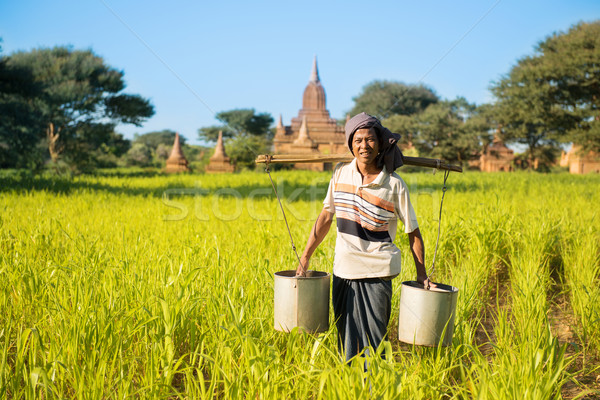 Traditional Myanmar farmer watering plant Stock photo © szefei