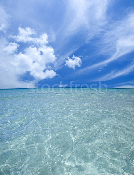 Gorgeous Beach Stock photo © szefei