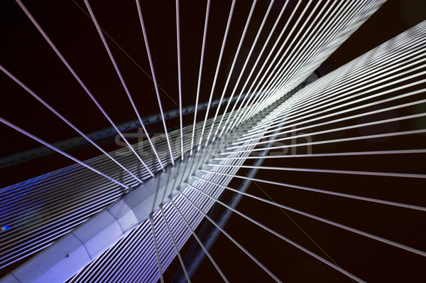 suspension bridge  Stock photo © szefei