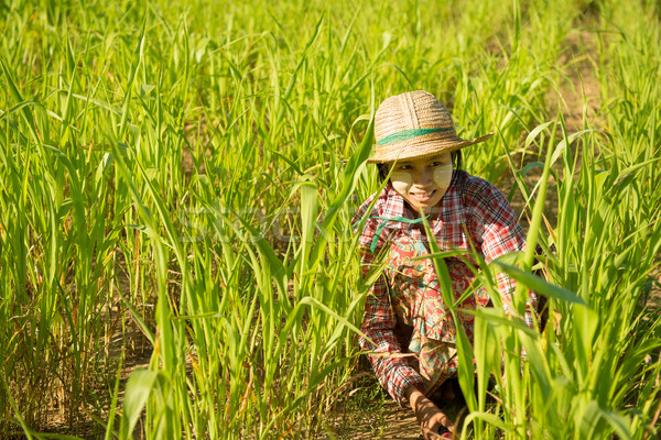 Traditional young Asian female farmer Stock photo © szefei