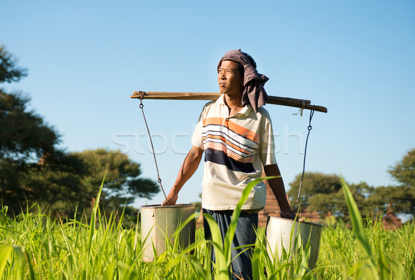 Tradicional agricultor retrato planta sonrisa Foto stock © szefei