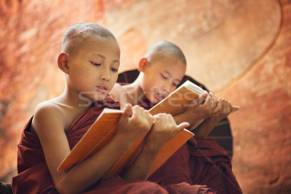 Young Buddhist novice monks reading outside temple Stock photo © szefei