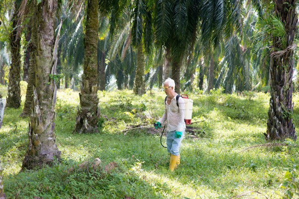 worker spraying herbicides  Stock photo © szefei