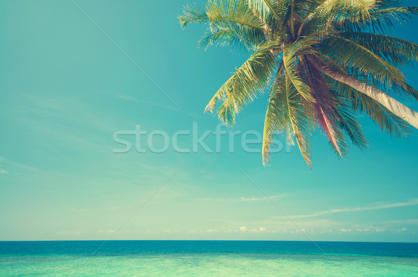 Summer sea view Stock photo © szefei