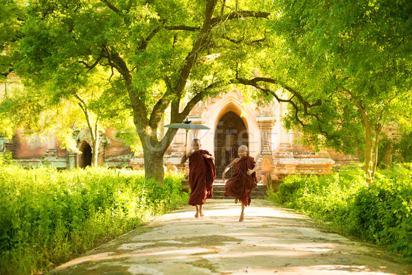 Young Buddhist novice monks running Stock photo © szefei