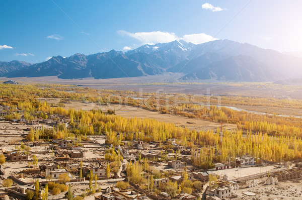 Leh village in northen India Stock photo © szefei