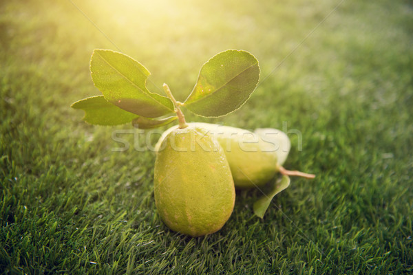 Chemical free lemons Stock photo © szefei