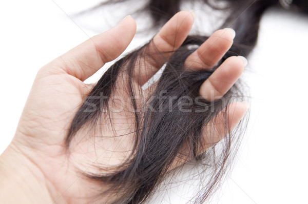 Stock photo: hair loss