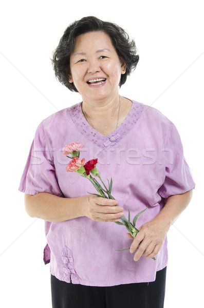 Anya szegfű virág boldog anyák napját portré 60-as évek Stock fotó © szefei