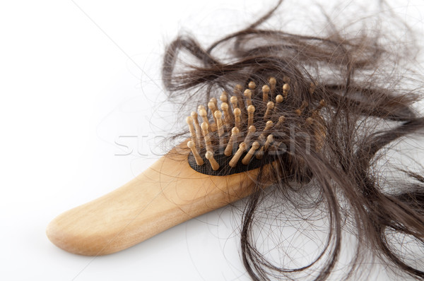 Cheveux perte brosse perdu bois Photo stock © szefei