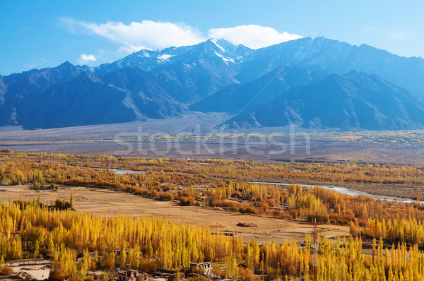 Leh village in northen India Stock photo © szefei