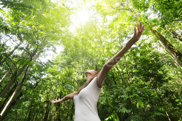 élvezi természet fiatal nő karok a magasban friss levegő zöld Stock fotó © szefei