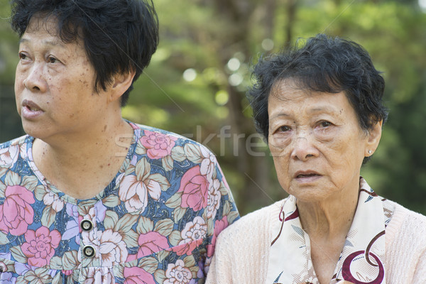 Asian elderly women talking at outdoor Stock photo © szefei