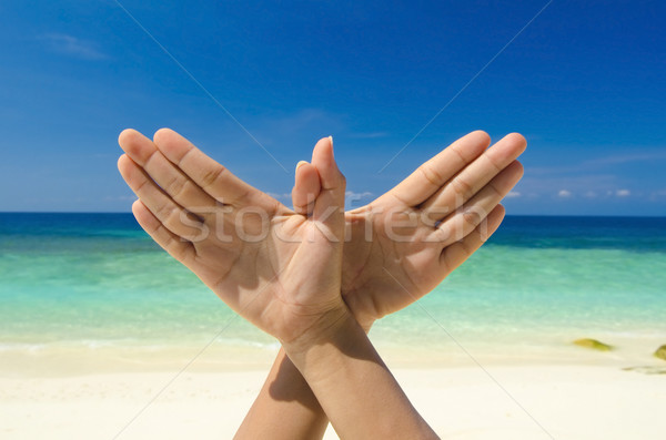 World peace concept  Stock photo © szefei