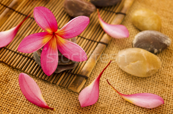 Spa setting Stock photo © szefei