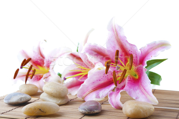 Pink lily and therapy stones Stock photo © szefei