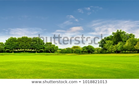 Green Landscape With Trees Foto stock © Smileus