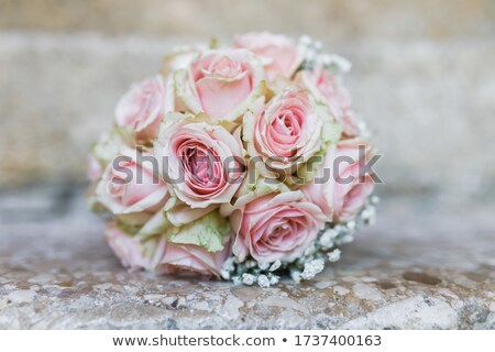 Foto stock: The Bride With Her Bridesmaids On The Stairs