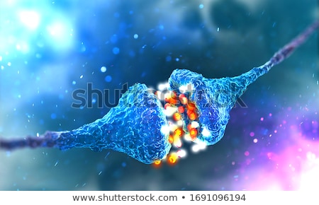 Zdjęcia stock: Neuron Concept