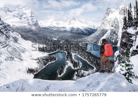 Stok fotoğraf: O Canada