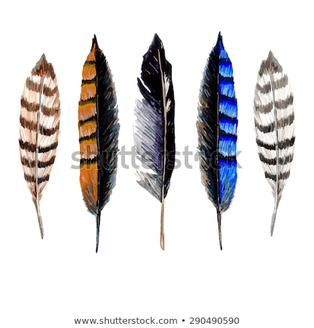 Stock foto: Ethnic Feather Set