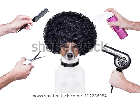 Stock foto: Hairdresser Scissors Comb Dog Spray