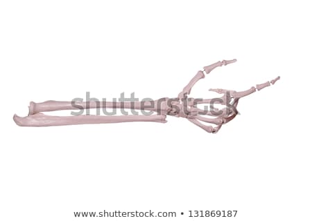 Count 2  Hand Of Bones Stock foto © pterwort