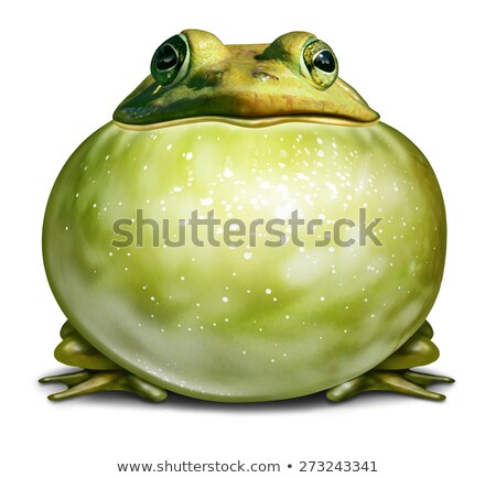 Stok fotoğraf: Frog Inflated Throat