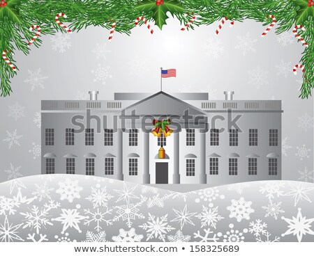 Foto stock: Washington Dc White House Christmas Scene Illustration