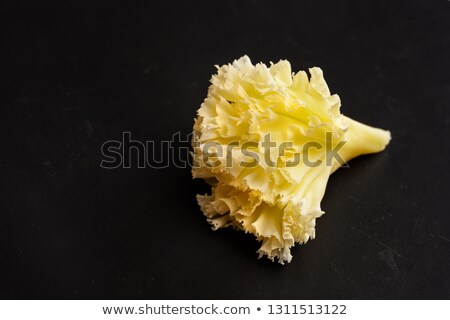 Stock photo: Narrow Cheese Knife