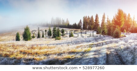 [[stock_photo]]: Mountain Road In The Early Spring