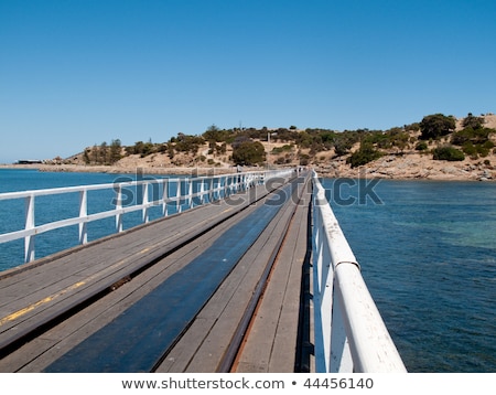 Foto stock: Raia · em · Granite · Island · perto · de · Victor · Harbor