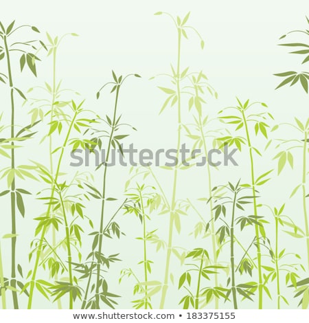 Stok fotoğraf: Bamboo Seamless Natural Retro Pattern Or Texture - Green White