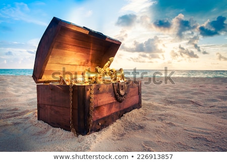 Zdjęcia stock: Treasure Chest With Coins