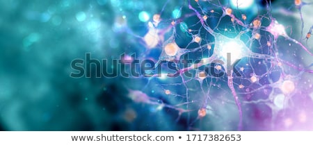 Stock photo: Neurons