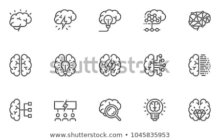 Stockfoto: The Brain