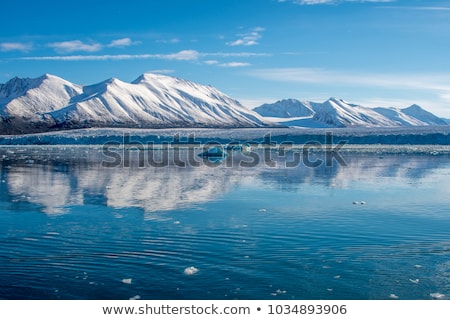 Foto d'archivio: Icebergs In Front Of The Glacier Svalbard Arctic