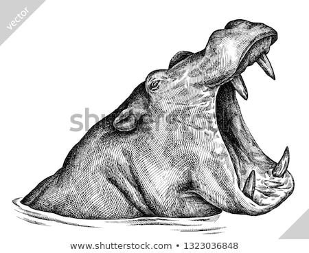 Stok fotoğraf: Hippo Sketch Vector Illustration Clip Art Image