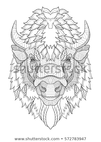 Stock photo: Coloring Book Buffalo Black