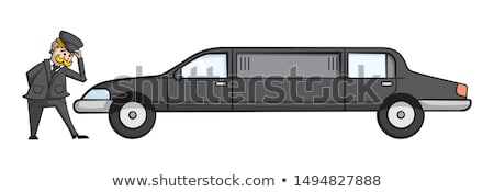 Foto stock: Vector Cartoon Limousines